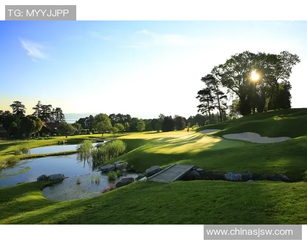 李芳篮球生涯回顾与展望：从球场到人生的精彩对话